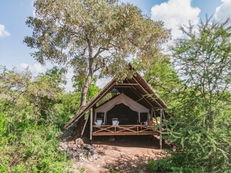 9 Days Selous, Ruaha and Mikumi National Parks 1 selous_safari Tented Camp