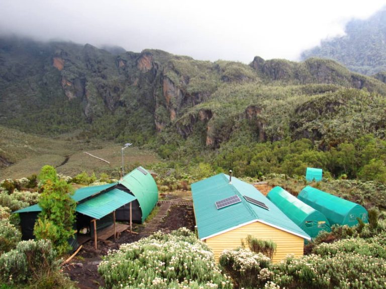 11 Days Rwenzori Mountain Climbing 17 Hunwicks-Camp Mountain Rwenzori Uganda