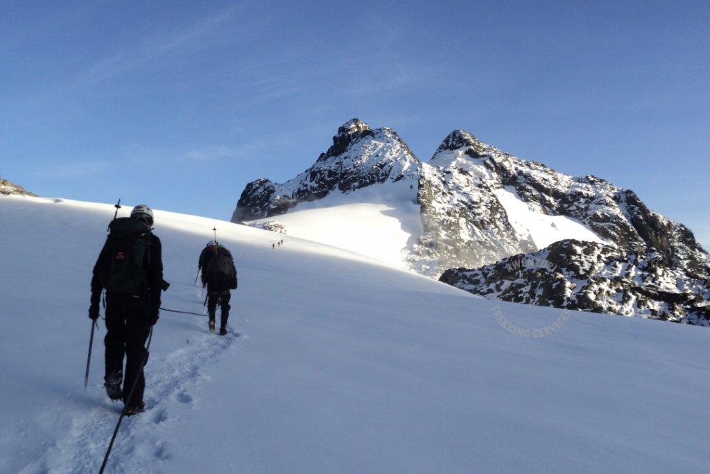 11 Days Rwenzori Mountain Climbing 9 Margherita Alexandria Peaks Rwenzori Mountains Uganda