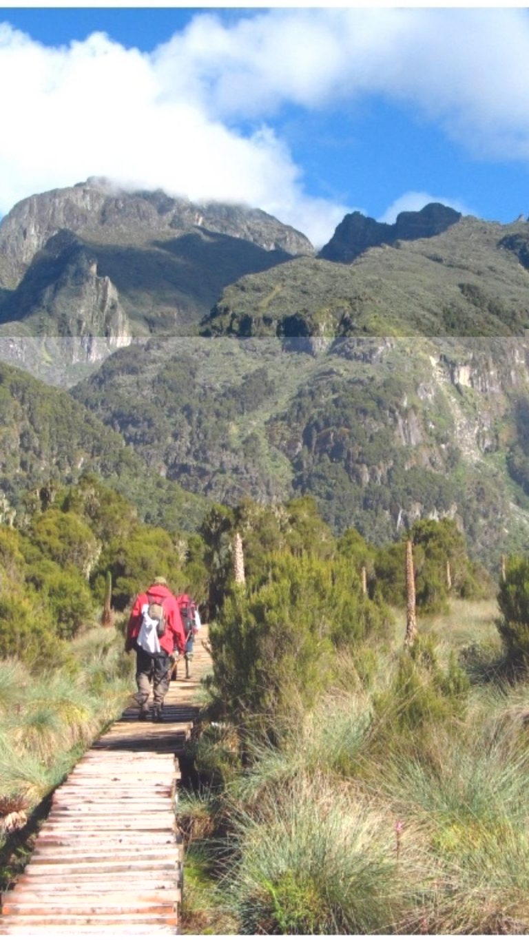 11 Days Rwenzori Mountain Climbing 13 Rwenzori Mountain Climbing